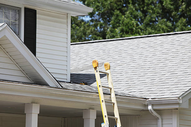 Best Fiber Cement Siding Installation  in New Freedom, PA